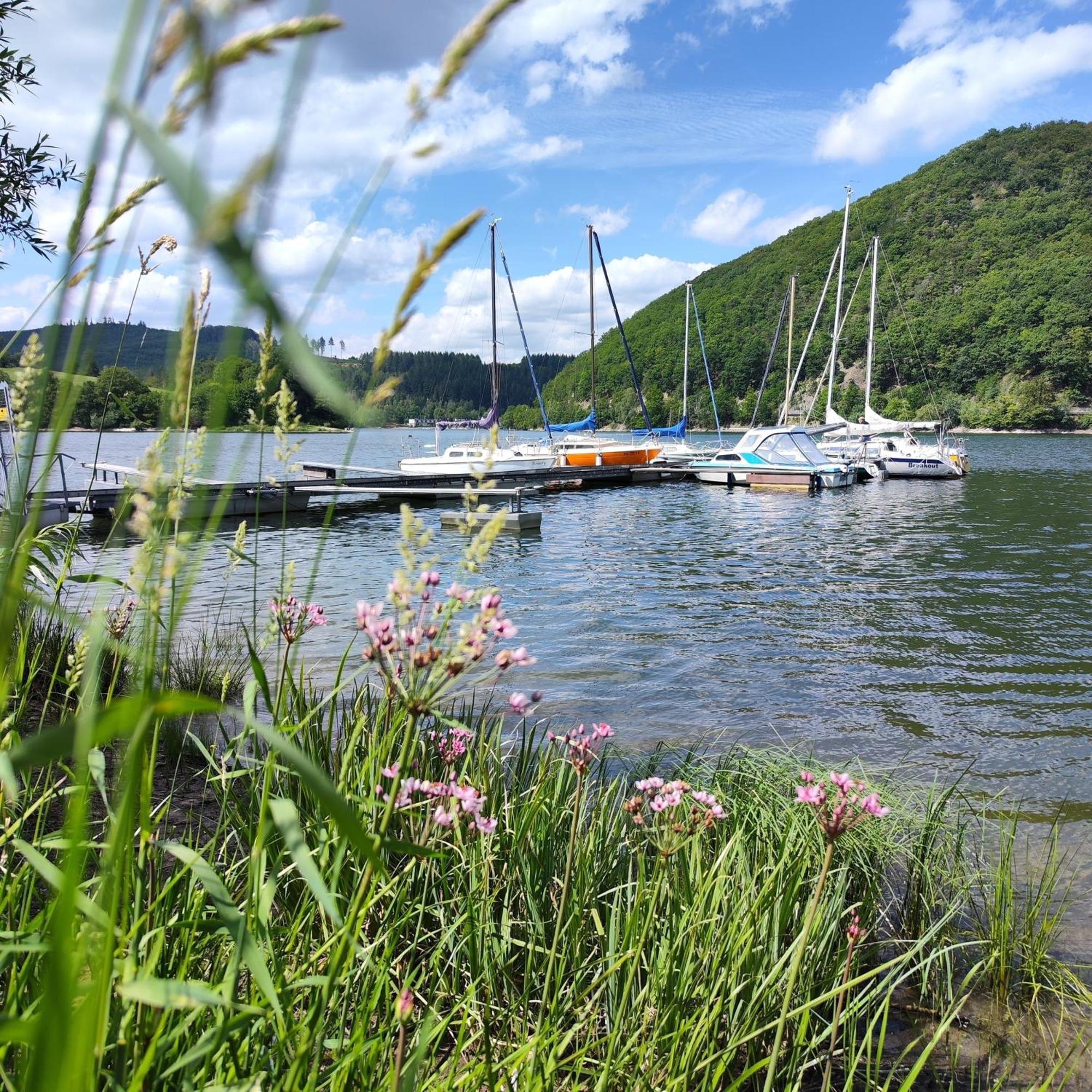 Diemelseeholiday Ferienwohnung Am Diemelsee Mit Balkon Zewnętrze zdjęcie