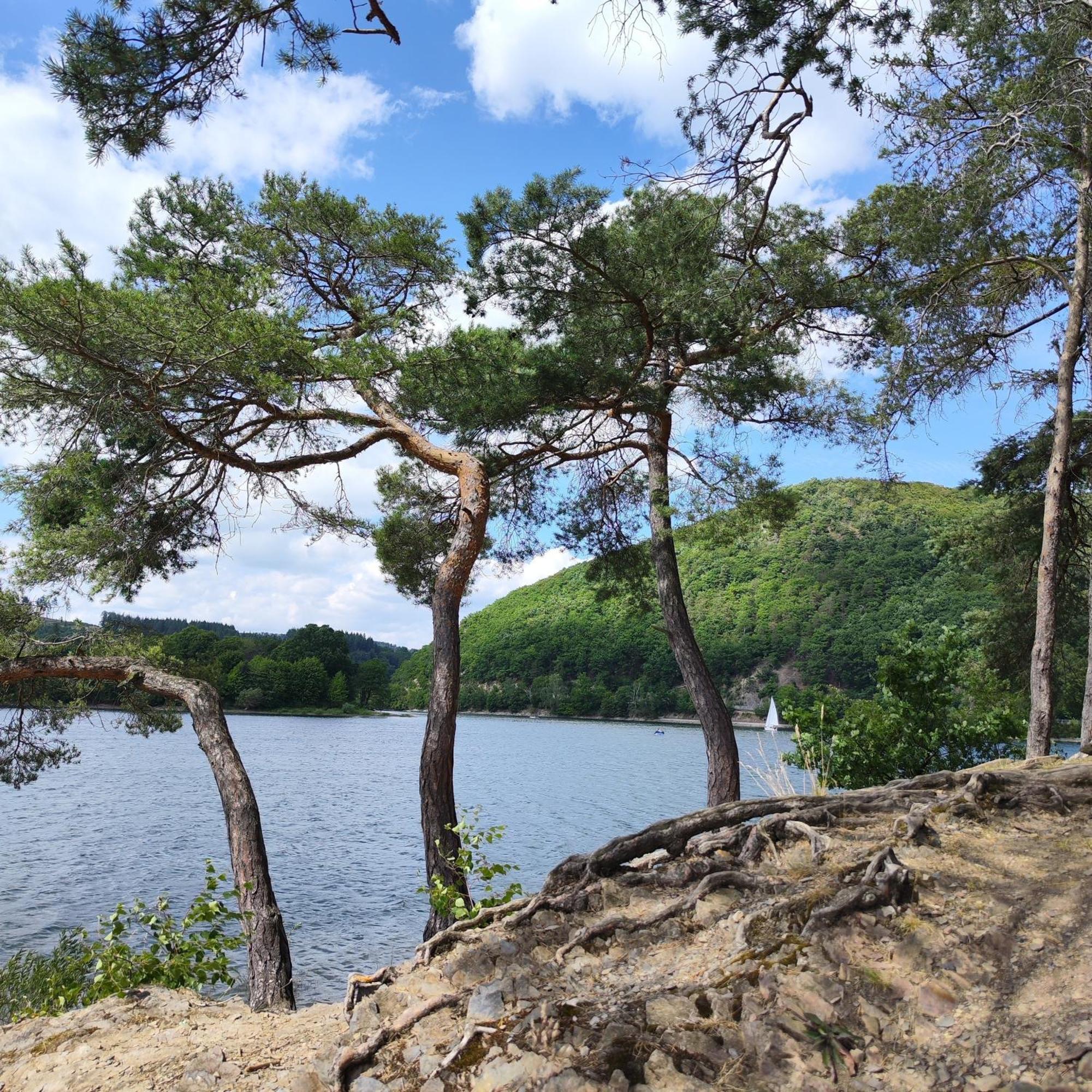 Diemelseeholiday Ferienwohnung Am Diemelsee Mit Balkon Zewnętrze zdjęcie